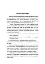 Referāts 'Bilingvisms etniski jauktās ģimenēs', 2.