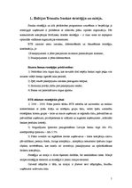 Referāts 'Akciju komercbankas "Baltijas Tranzītu banka" stratēģijas novērtējums', 5.