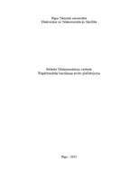 Referāts 'Nepārtrauktās barošanas avotu (UPS) pielietojums', 18.