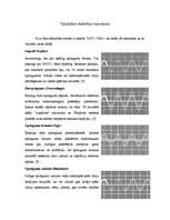 Referāts 'Nepārtrauktās barošanas avotu (UPS) pielietojums', 22.
