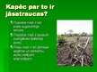 Prezentācija 'Tropu mežu izciršana', 4.