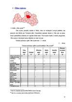 Referāts 'Latvijas novadu tūrisma produktu piedāvājuma kopīgais un atšķirīgais', 16.