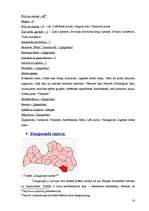 Referāts 'Latvijas novadu tūrisma produktu piedāvājuma kopīgais un atšķirīgais', 18.