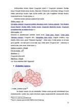 Referāts 'Latvijas novadu tūrisma produktu piedāvājuma kopīgais un atšķirīgais', 20.