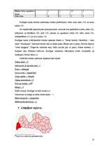 Referāts 'Latvijas novadu tūrisma produktu piedāvājuma kopīgais un atšķirīgais', 33.