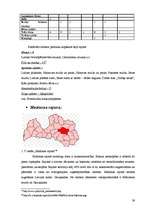 Referāts 'Latvijas novadu tūrisma produktu piedāvājuma kopīgais un atšķirīgais', 39.