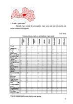 Referāts 'Latvijas novadu tūrisma produktu piedāvājuma kopīgais un atšķirīgais', 42.