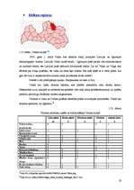 Referāts 'Latvijas novadu tūrisma produktu piedāvājuma kopīgais un atšķirīgais', 59.