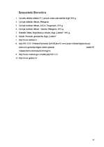 Referāts 'Glezniecība Latvijā 20.gadsimta beigās', 42.