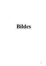 Referāts 'Glezniecība Latvijā 20.gadsimta beigās', 43.