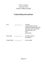 Prakses atskaite 'Profesionālās prakses pārskats SIA "Ratekss"', 1.