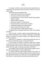 Prakses atskaite 'Profesionālās prakses pārskats SIA "Ratekss"', 3.