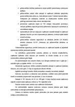 Prakses atskaite 'Profesionālās prakses pārskats SIA "Ratekss"', 13.