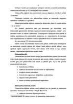 Prakses atskaite 'Profesionālās prakses pārskats SIA "Ratekss"', 14.