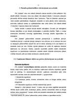 Prakses atskaite 'Profesionālās prakses pārskats SIA "Ratekss"', 17.