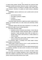 Prakses atskaite 'Profesionālās prakses pārskats SIA "Ratekss"', 18.