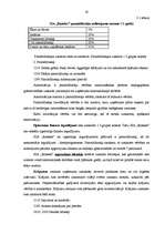 Prakses atskaite 'Profesionālās prakses pārskats SIA "Ratekss"', 19.