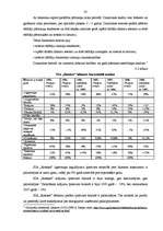 Prakses atskaite 'Profesionālās prakses pārskats SIA "Ratekss"', 32.