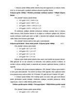 Prakses atskaite 'Profesionālās prakses pārskats SIA "Ratekss"', 41.