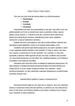 Referāts 'Viesu mājas dokumentācija', 19.