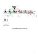 Referāts 'Viesu mājas dokumentācija', 21.
