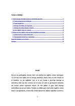 Referāts 'Lietoto apģērbu veikalu skatlogi kā reklāma', 2.