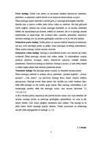 Referāts 'Lietoto apģērbu veikalu skatlogi kā reklāma', 7.