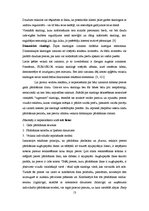 Referāts 'Lietoto apģērbu veikalu skatlogi kā reklāma', 13.