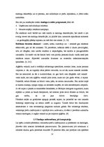 Referāts 'Lietoto apģērbu veikalu skatlogi kā reklāma', 14.