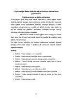 Referāts 'Lietoto apģērbu veikalu skatlogi kā reklāma', 21.