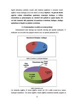 Referāts 'Lietoto apģērbu veikalu skatlogi kā reklāma', 22.