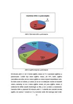 Referāts 'Lietoto apģērbu veikalu skatlogi kā reklāma', 24.