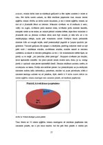 Referāts 'Lietoto apģērbu veikalu skatlogi kā reklāma', 27.