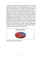 Referāts 'Lietoto apģērbu veikalu skatlogi kā reklāma', 28.