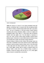 Referāts 'Lietoto apģērbu veikalu skatlogi kā reklāma', 29.