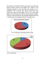Referāts 'Lietoto apģērbu veikalu skatlogi kā reklāma', 30.