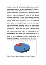 Referāts 'Lietoto apģērbu veikalu skatlogi kā reklāma', 31.