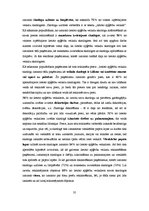 Referāts 'Lietoto apģērbu veikalu skatlogi kā reklāma', 35.