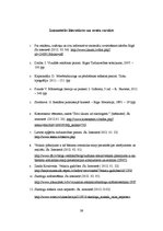 Referāts 'Lietoto apģērbu veikalu skatlogi kā reklāma', 39.