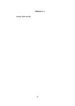 Referāts 'Lietoto apģērbu veikalu skatlogi kā reklāma', 41.