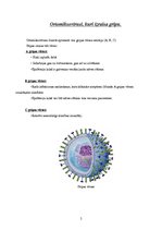 Referāts 'Gripa', 5.