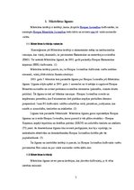 Referāts 'Māstrihtas kritēriji un to izpilde Eiropas Savienībā', 5.