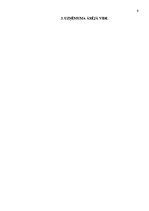 Referāts 'SVID analīze - vērtīgs stratēģiskās analīzes rīks', 8.