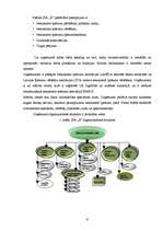 Diplomdarbs 'Personālvadības analīze uzņēmumā "X"', 9.