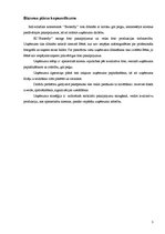 Biznesa plāns 'Biznesa plāns IK "Butterfly"', 3.