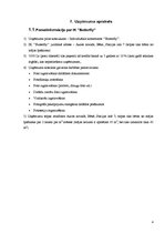 Biznesa plāns 'Biznesa plāns IK "Butterfly"', 4.