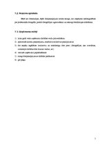 Biznesa plāns 'Biznesa plāns IK "Butterfly"', 5.