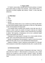 Biznesa plāns 'Biznesa plāns IK "Butterfly"', 8.