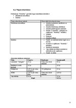 Biznesa plāns 'Biznesa plāns IK "Butterfly"', 10.