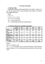 Biznesa plāns 'Biznesa plāns IK "Butterfly"', 12.